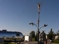 p1170863.jpg